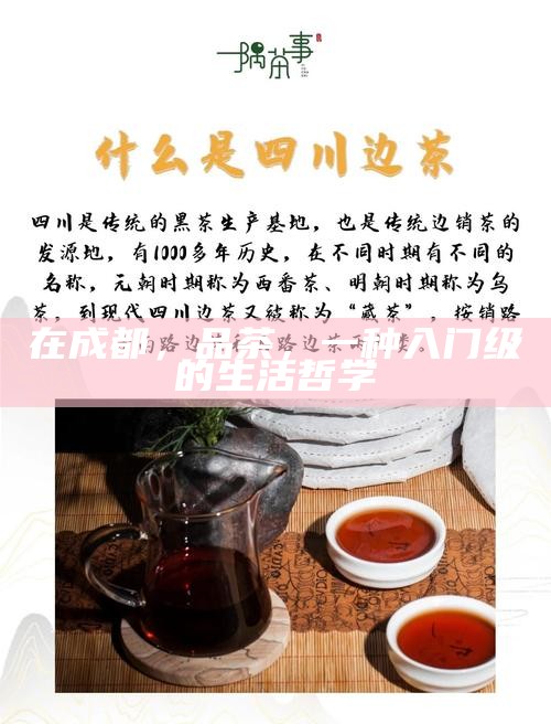 在成都，品茶，一种入门级的生活哲学