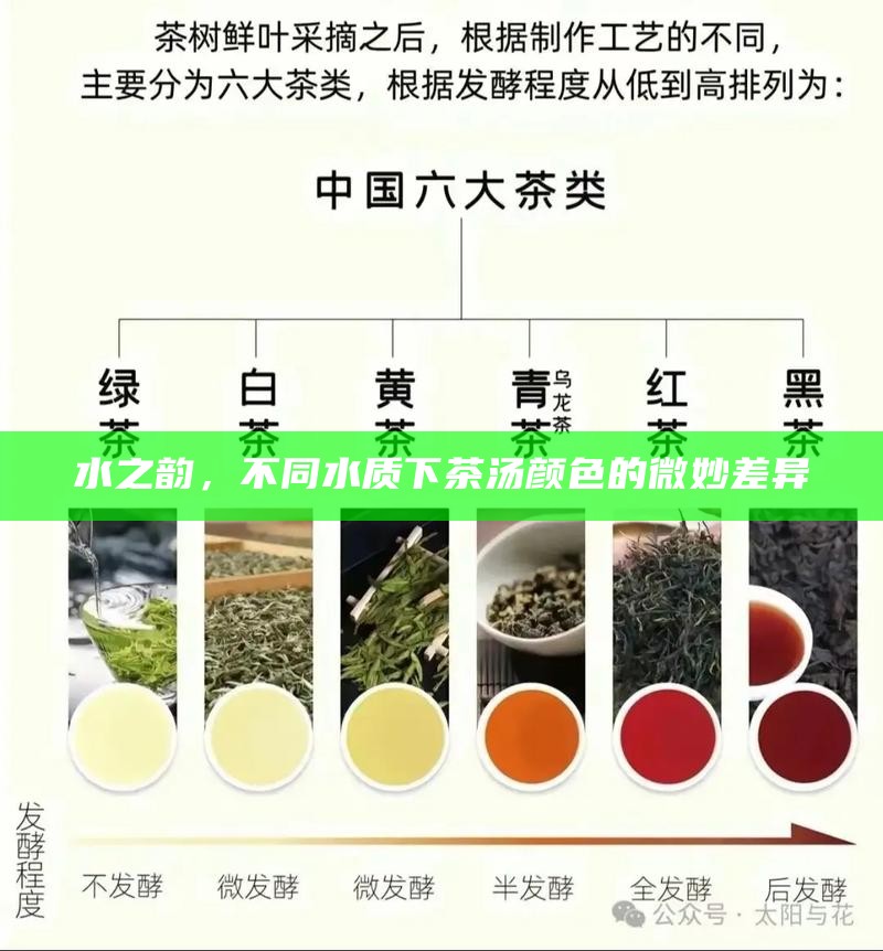 水之韵，不同水质下茶汤颜色的微妙差异