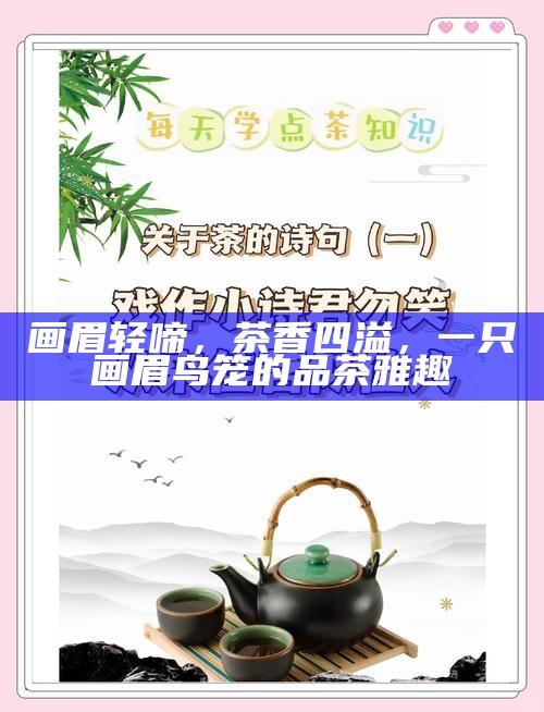 画眉轻啼，茶香四溢，一只画眉鸟笼的品茶雅趣