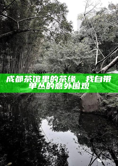 成都茶馆里的茶缘，我自带单丛的意外围观