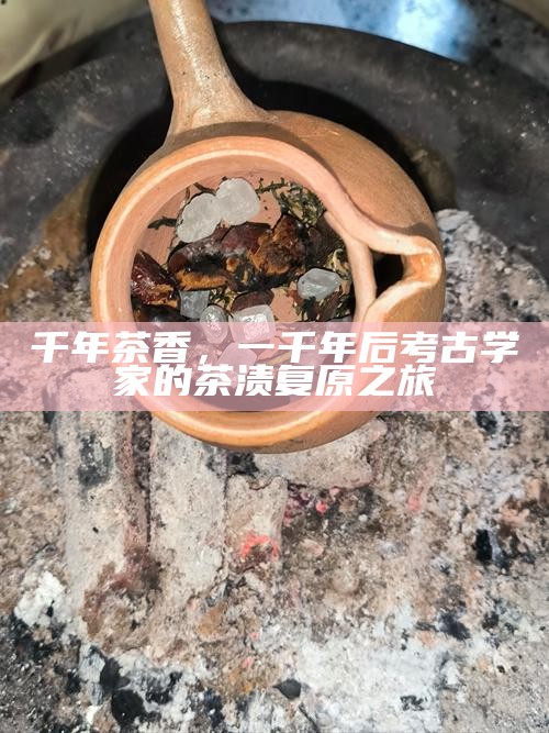 千年茶香，一千年后考古学家的茶渍复原之旅