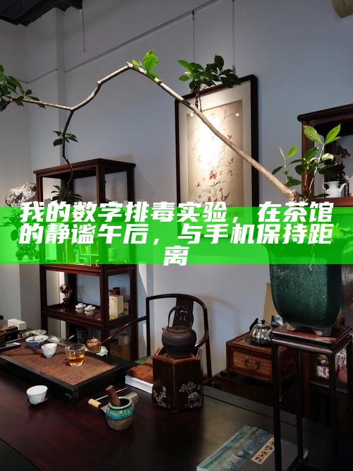 我的数字排毒实验，在茶馆的静谧午后，与手机保持距离