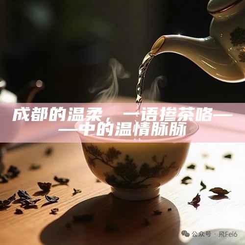 成都的温柔，一语掺茶咯——中的温情脉脉
